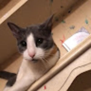 Meet your Posher, Marie